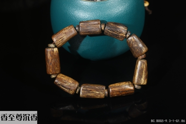 加里曼丹沉水随行